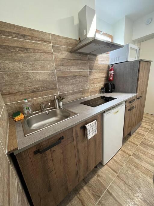 Superbe Appartement A 15 Min De Lyon Saint-Fons Exterior photo